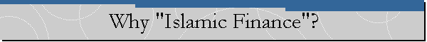 Why "Islamic Finance"?