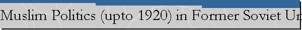 Muslim Politics (upto 1920) in Former Soviet Union