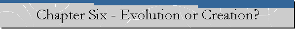 Chapter Six - Evolution or Creation?